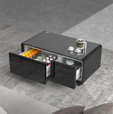 Produit réfrigérateur 93L Caisse de refroidissement de cave à vin Pour la décoration de la maison écologique