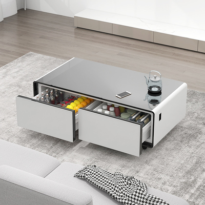 Consommation d'électricité 0,38 kw h/24 h réfrigérateur multifonctionnel pour salon