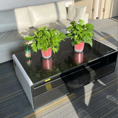 Réfrigérateur de boissons en verre à mousse trempé avec deux tiroirs de rangement