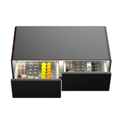 Compact 220V Primst petit réfrigérateur mini bar réfrigérateur rétro réfrigérateur thermoélectrique