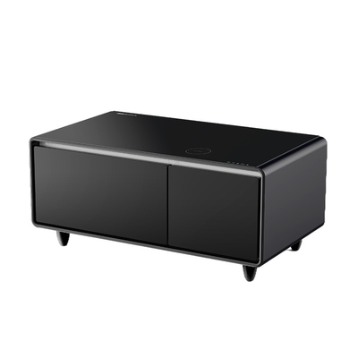 Produit réfrigérateur 93L Caisse de refroidissement de cave à vin Pour la décoration de la maison écologique