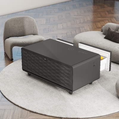 Produit réfrigérateur 93L Caisse de refroidissement de cave à vin Pour la décoration de la maison écologique