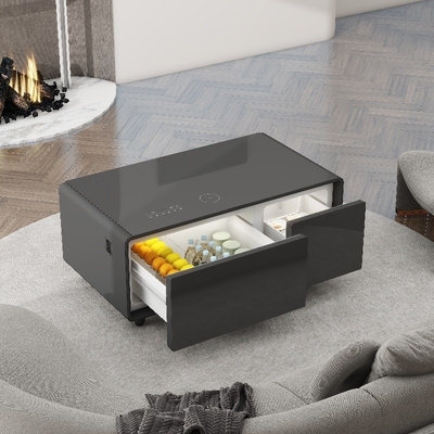 Produit réfrigérateur 93L Caisse de refroidissement de cave à vin Pour la décoration de la maison écologique