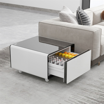Mini réfrigérateur canapé armoire latérale TB65 tables basses réfrigérateur avec design moderne